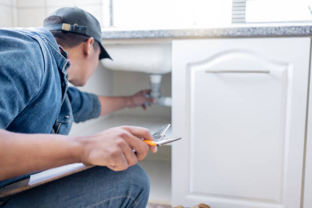 Best Commercial Plumbing Services  in Hillsdale, MI