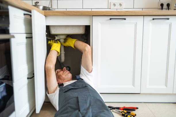Best Sprinkler Systems  in Hillsdale, MI