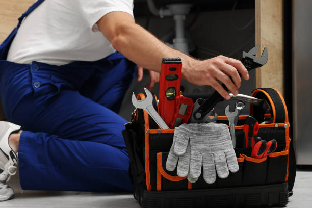 Best Local Plumber Services  in Hillsdale, MI